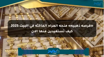 «فرصة ذهبية» منحة المرأة الماكثة في البيت 2025 كيف تستفيدين منها الآن